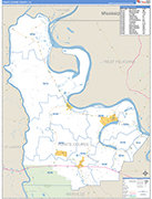 Pointe Coupee County Wall Map Basic Style